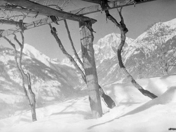 Viticoltura in Valle d'Aosta (Foto archivio BREL)