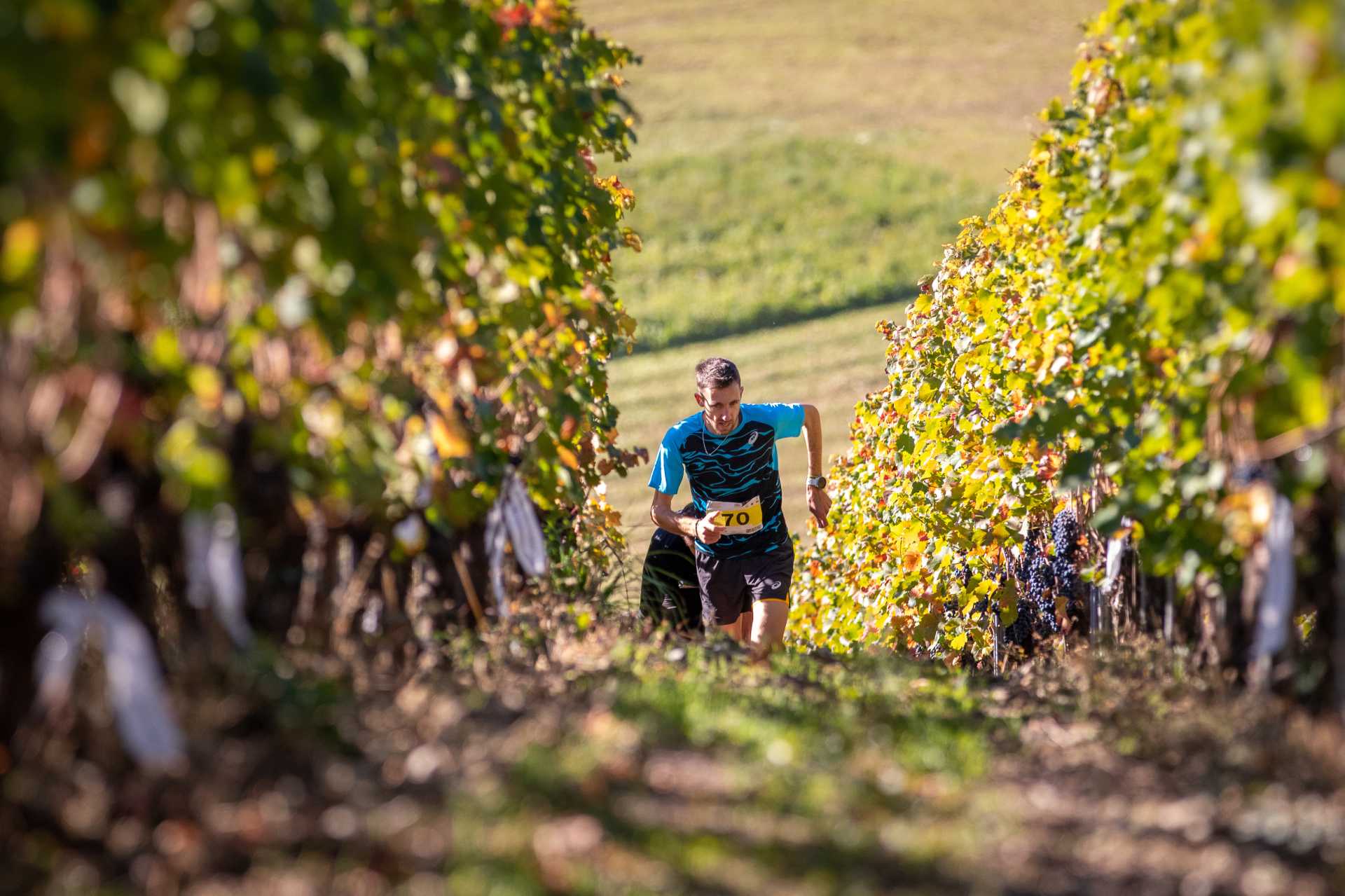 Grosjean Wine Trail Xavier Chevrier